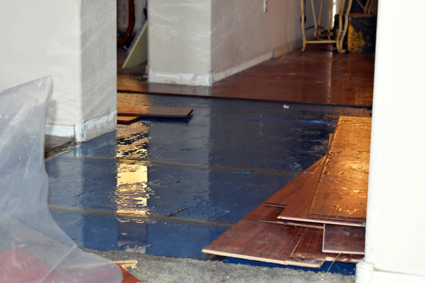 Professional Basement Flood Cleanup technician working in Fairfield, NC